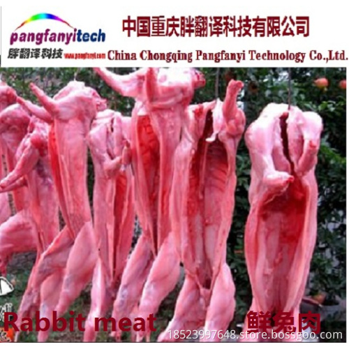 Fresh Healthy Tasty Self-produced Rabbit Meat